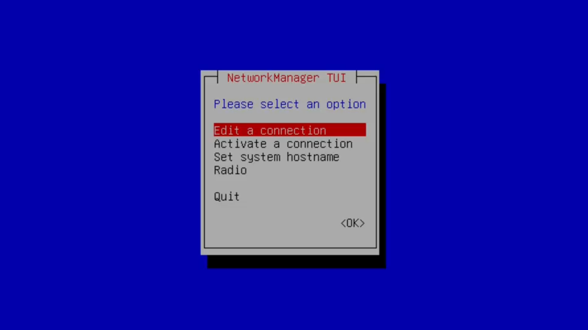 A network manager TUI screen. It's a curses screen that offers a small amount of network configuration options.